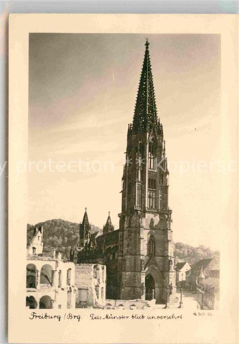 Freiburg Breisgau Muenster