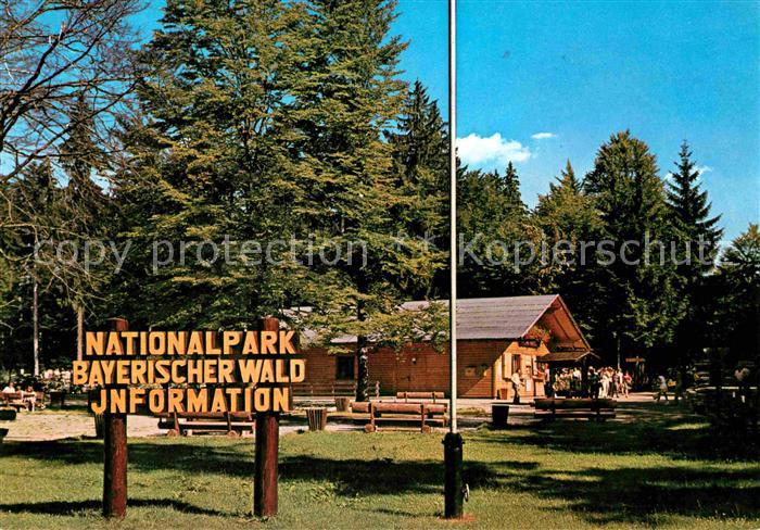 Nationalpark Bayerischer Wald Information