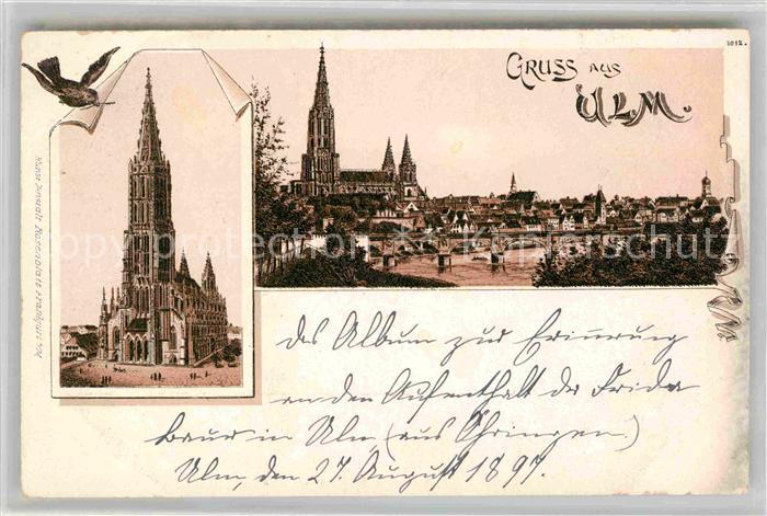 Ulm Donau Muenster Stadtblick