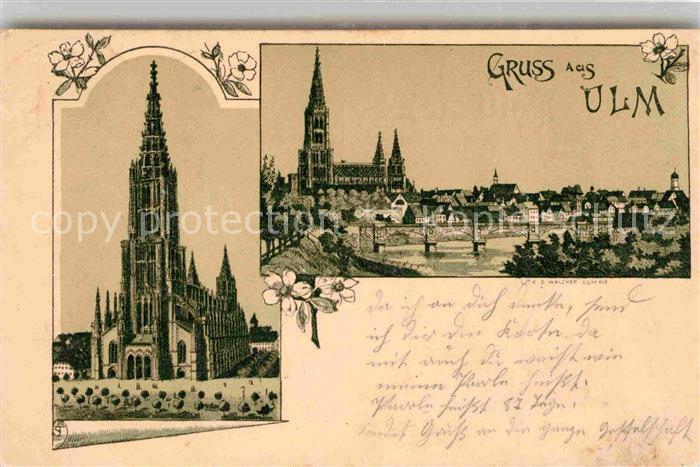 Ulm Donau Muenster Stadtblick