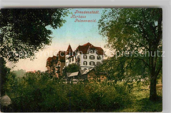 Kniebis Freudenstadt Kurhaus Palmenwald