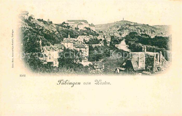 TueBINGEN BW Panorama