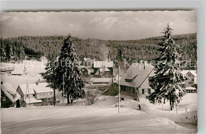 Kniebis Freudenstadt Panorama Winterlandschaft