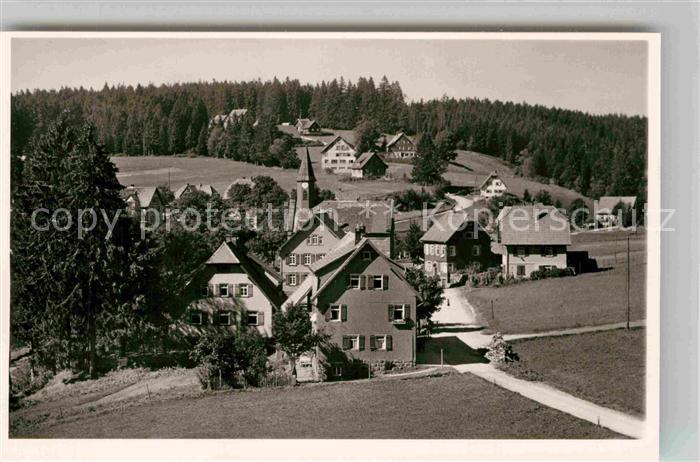 Kniebis Freudenstadt Panorama
