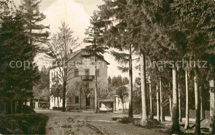 Luisenburg Hotel Waldlust