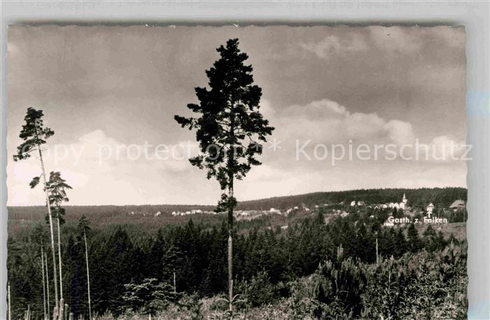 Oberbraend Panorama Gasthof zum Falken
