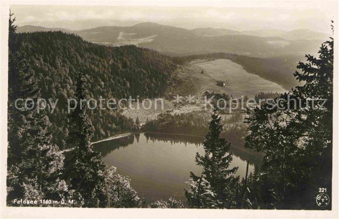 Schwarzwald Feldsee