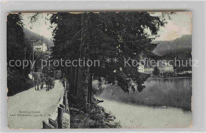 Schluchsee Promenade Pferdefuhrwerk