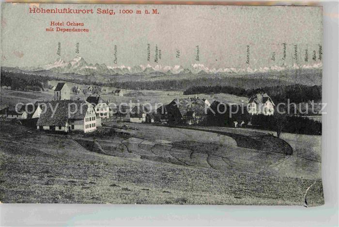 Saig Schwarzwald HOtel Ochsen Alpenpanorama