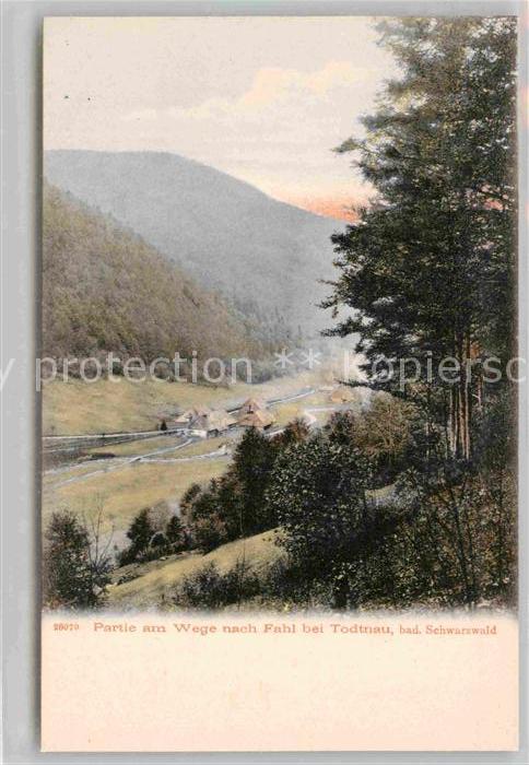 Fahl Feldberg Panorama