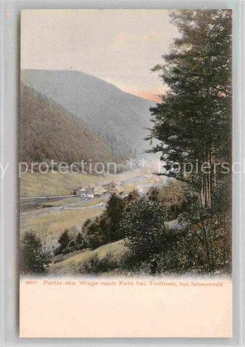 Fahl Feldberg Panorama