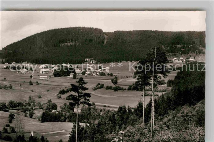 Saig Schwarzwald Panorama