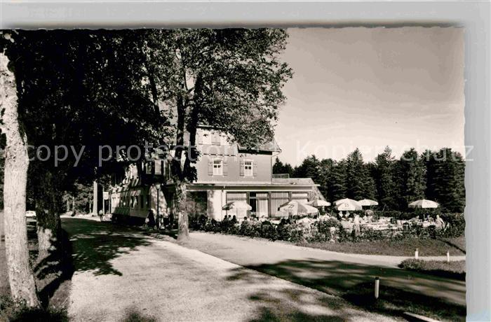 Zwieselberg Freudenstadt Hotel Pension Hirsch