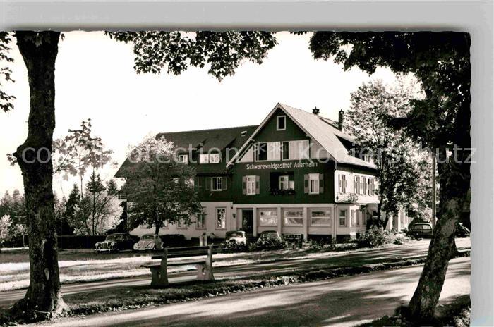 Zwieselberg Freudenstadt Schwarzwaldgasthof Auerhahn