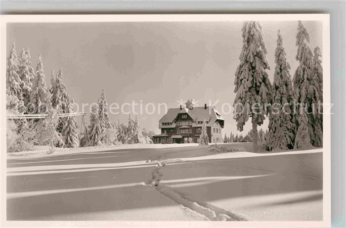 Kniebis Freudenstadt Hoehenhotel Alexanderschanze