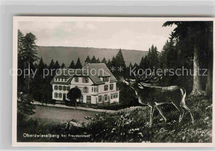 Zwieselberg Freudenstadt Hotel Pension Hirschen Post