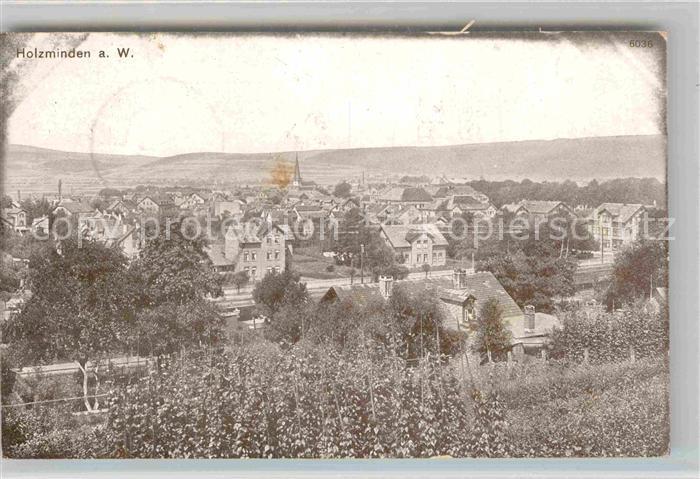 Holzminden Weser Panorama