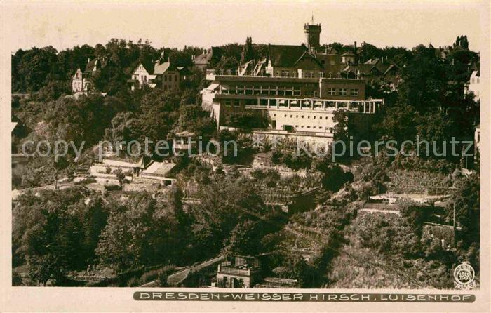 Foto Hahn Nr. 4258 Dresden Weisser Hirsch Luisenhof