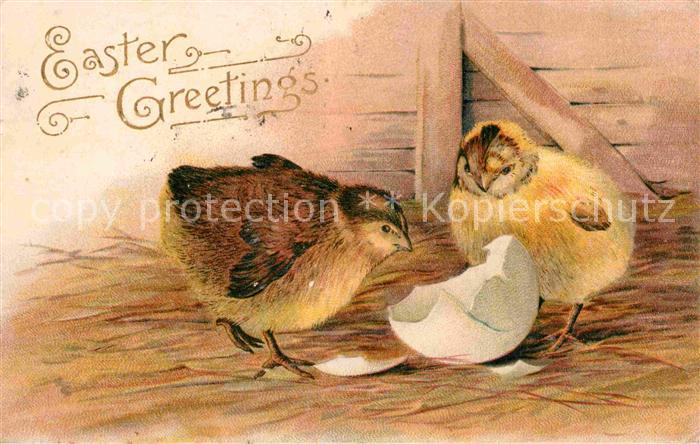 Ostern Easter Paques Kueken Eierschale Litho