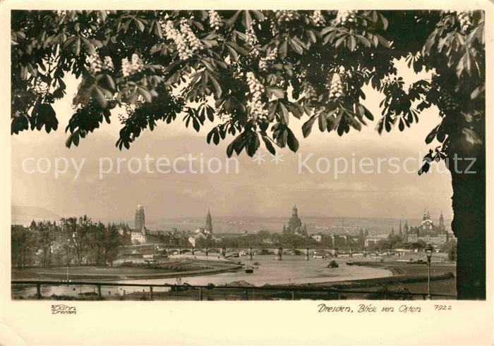 Foto Hahn Nr. 7922 Dresden Blick von Osten