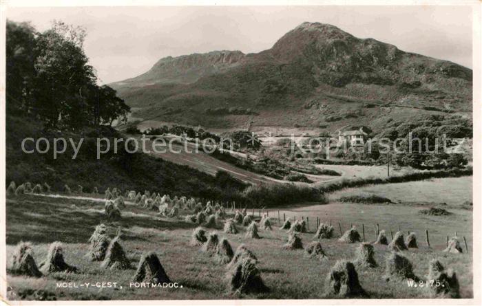 Portmadoc Moel y Cest