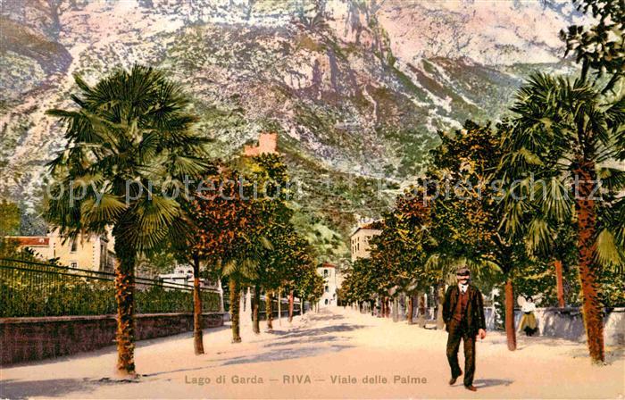 Riva del Garda Viale delle Palme