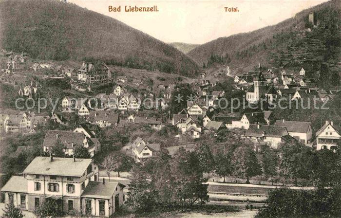 Bad Liebenzell Stadtblick