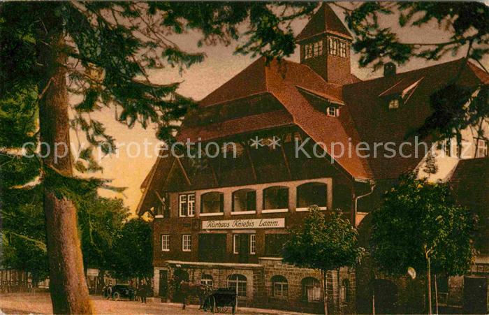Kniebis Freudenstadt Kurhaus Kniebis Lamm