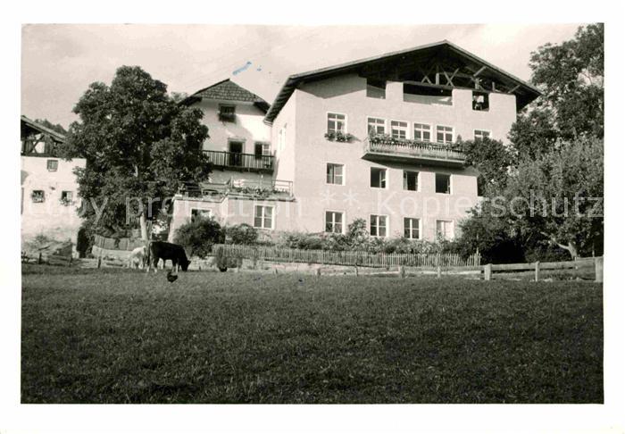 Moelten Suedtirol Gasthof Schwarz