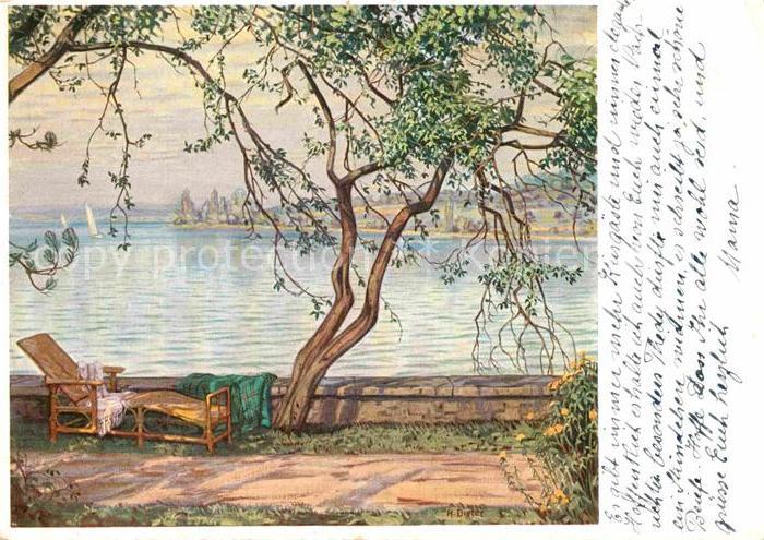 Mammern Sommer am Untersee Gemaelde