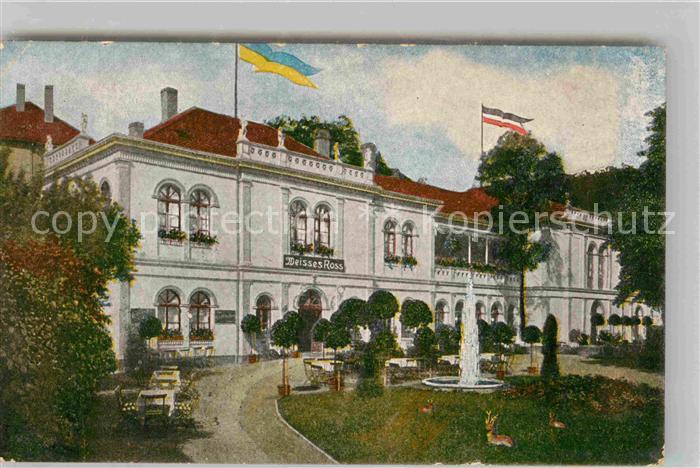 BRAUNSCHWEIG  CITY Weisses Ross Hotel