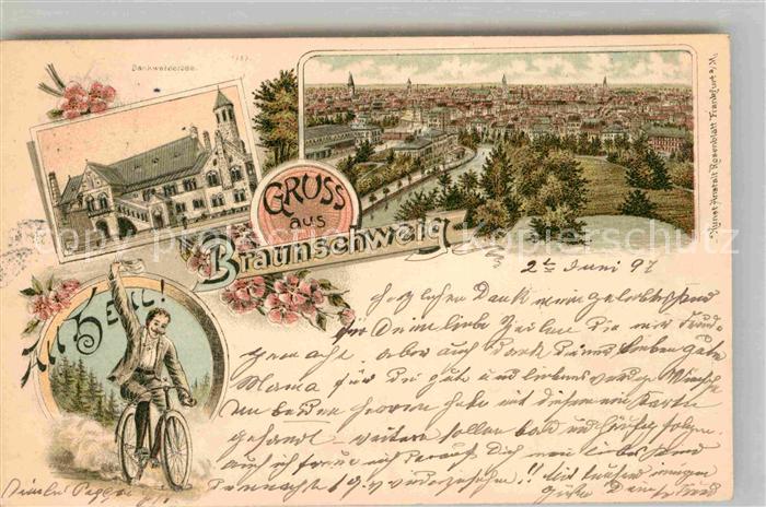 BRAUNSCHWEIG  CITY Panorama Burg Dankwarderode