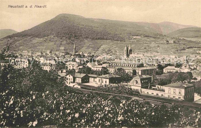 Neustadt Haardt Panorama