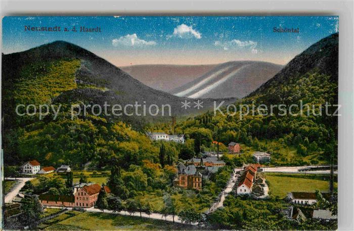 Neustadt Haardt mit Schoental