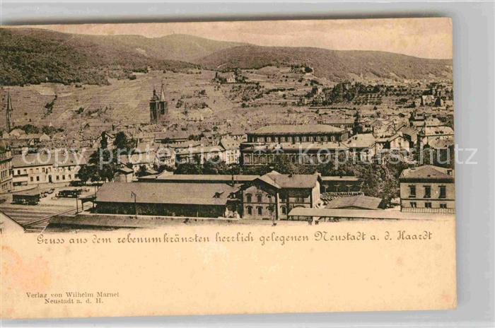 Neustadt Haardt Panorama