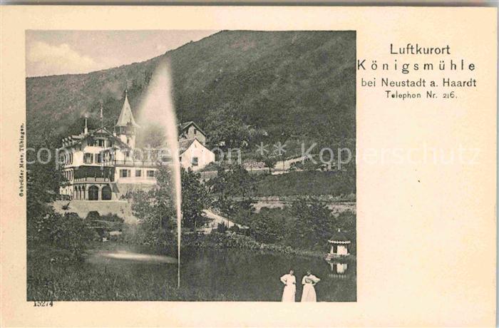 Neustadt Haardt Koenigsmuehle Schwanenteich