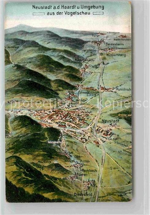 Neustadt Haardt Panoramakarte