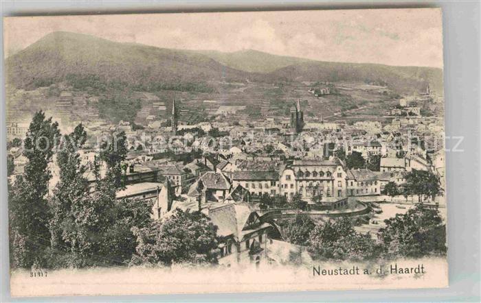 Neustadt Haardt Panorama