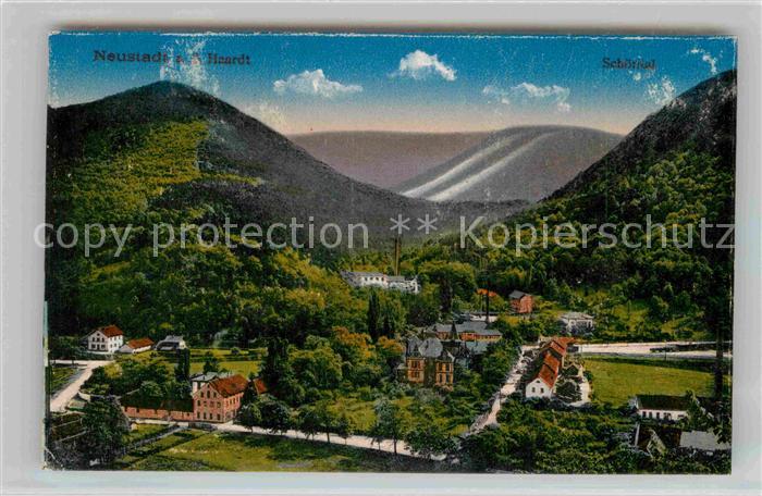 Neustadt Haardt mit Schoental