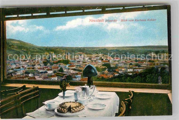 Neustadt Haardt Blick vom Kurhaus Kohler