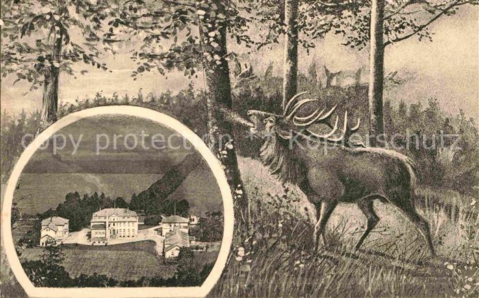 Springe Deister Kindererholungsheim Jagdschloss Hirsch