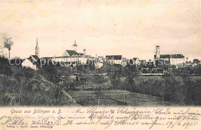 Dillingen Donau Panorama