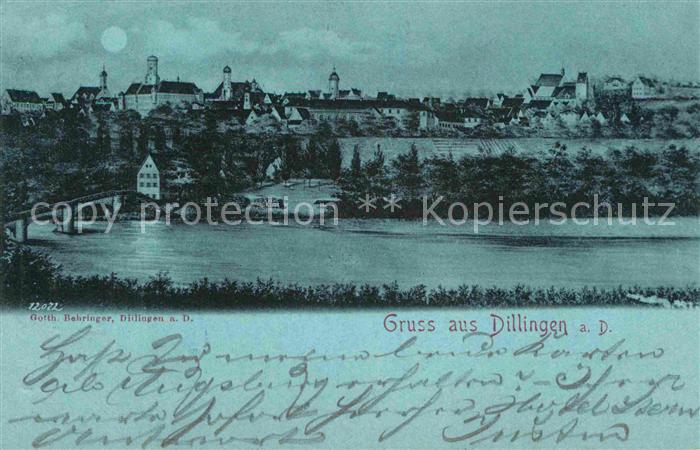 Dillingen Donau Panorama Mondscheinkarte