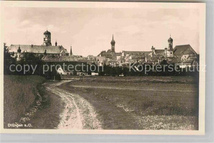 Dillingen Donau Panorama