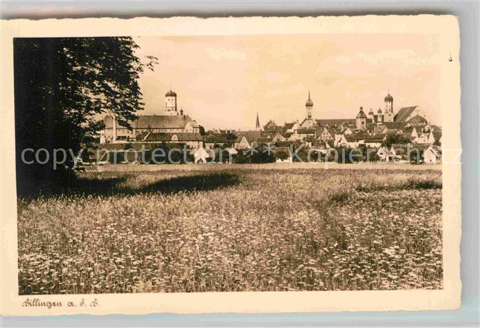 Dillingen Donau Panorama
