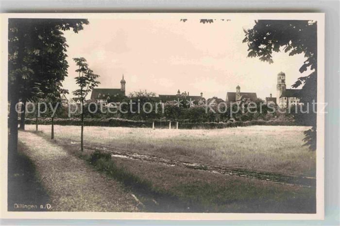 Dillingen Donau Panorama Kirchtuerme