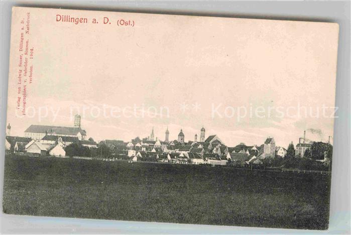 Dillingen Donau Panorama