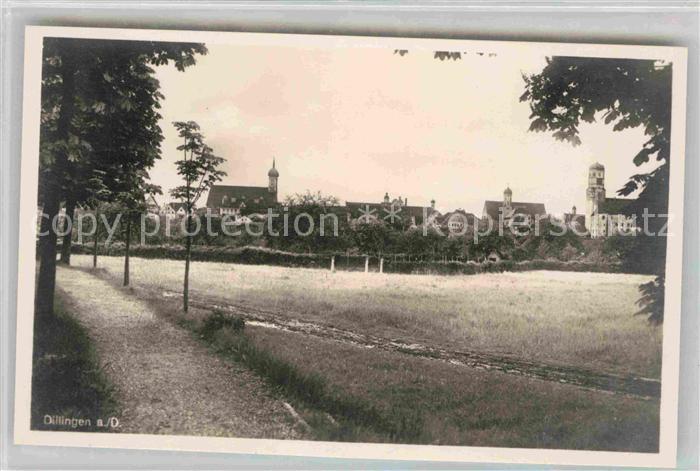 Dillingen Donau Panorama