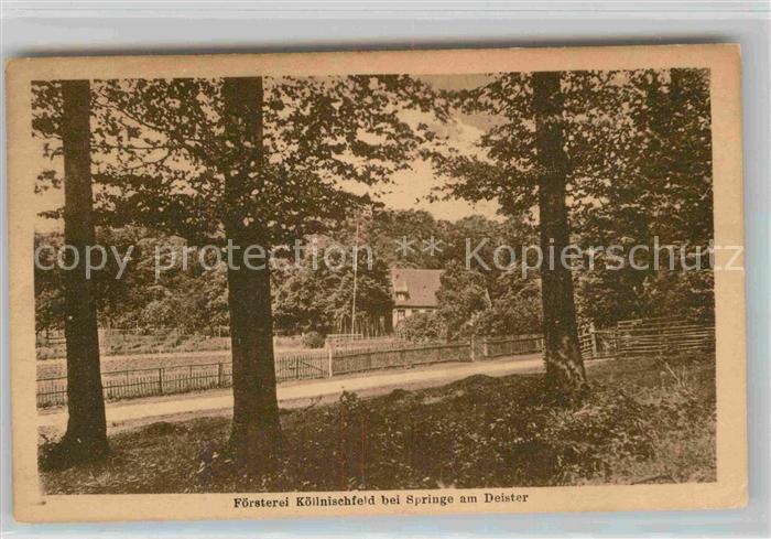 Springe Deister Foersterei Koellnischfeld