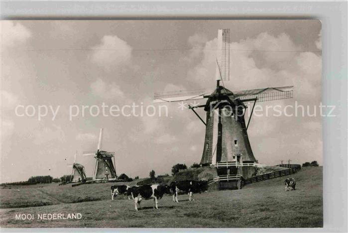 Niederlande Windmuehle